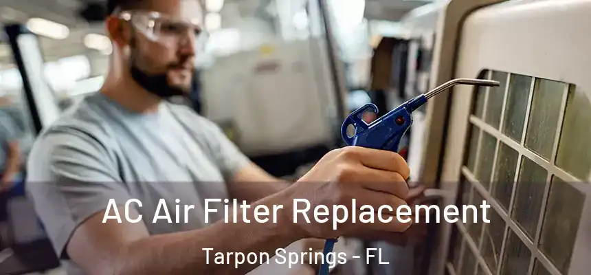  AC Air Filter Replacement Tarpon Springs - FL