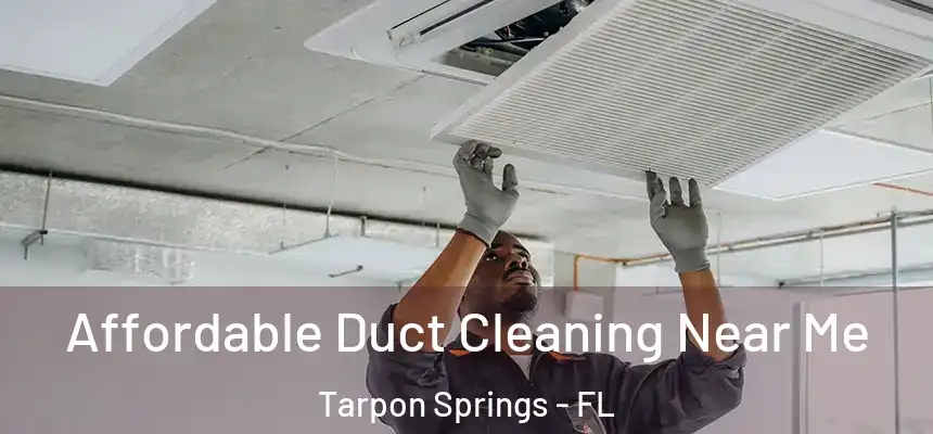 Affordable Duct Cleaning Near Me Tarpon Springs - FL