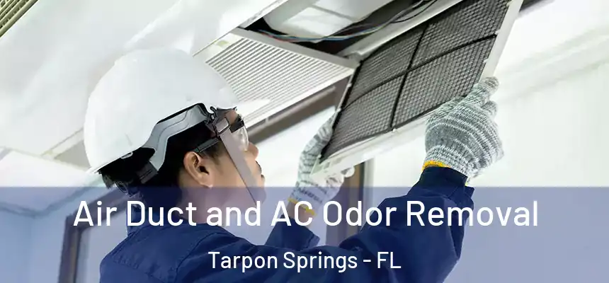 Air Duct and AC Odor Removal Tarpon Springs - FL