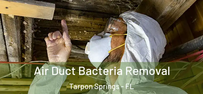 Air Duct Bacteria Removal Tarpon Springs - FL
