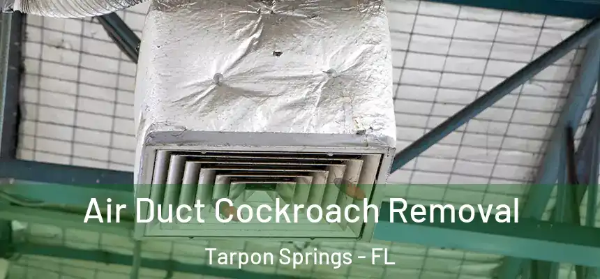 Air Duct Cockroach Removal Tarpon Springs - FL