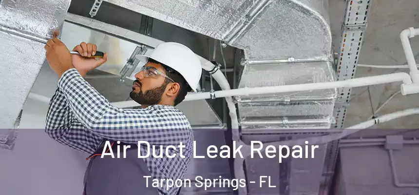 Air Duct Leak Repair Tarpon Springs - FL