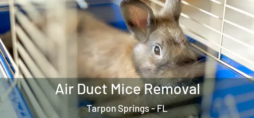 Air Duct Mice Removal Tarpon Springs - FL