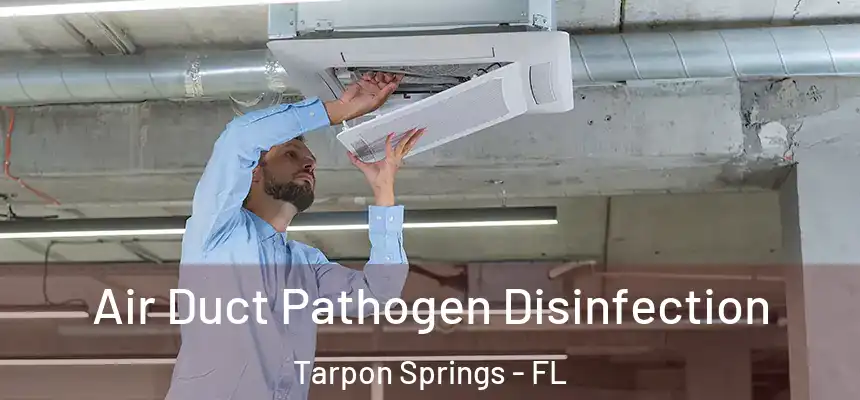  Air Duct Pathogen Disinfection Tarpon Springs - FL