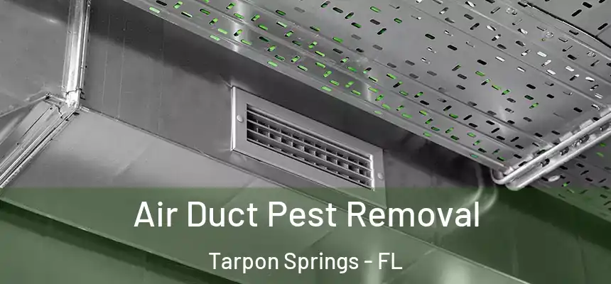 Air Duct Pest Removal Tarpon Springs - FL