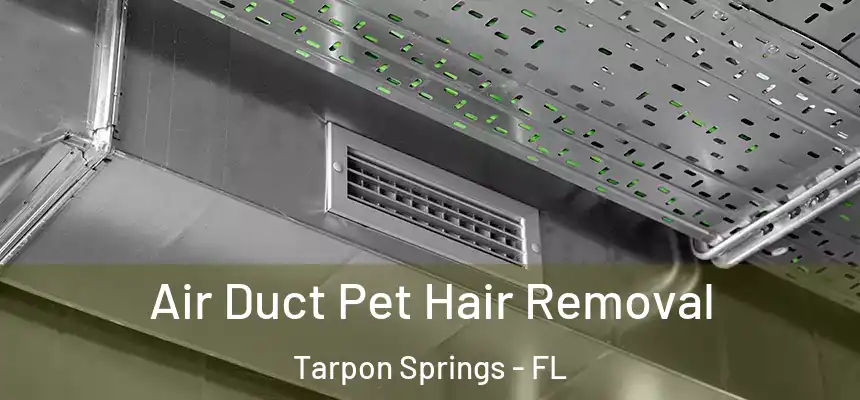 Air Duct Pet Hair Removal Tarpon Springs - FL