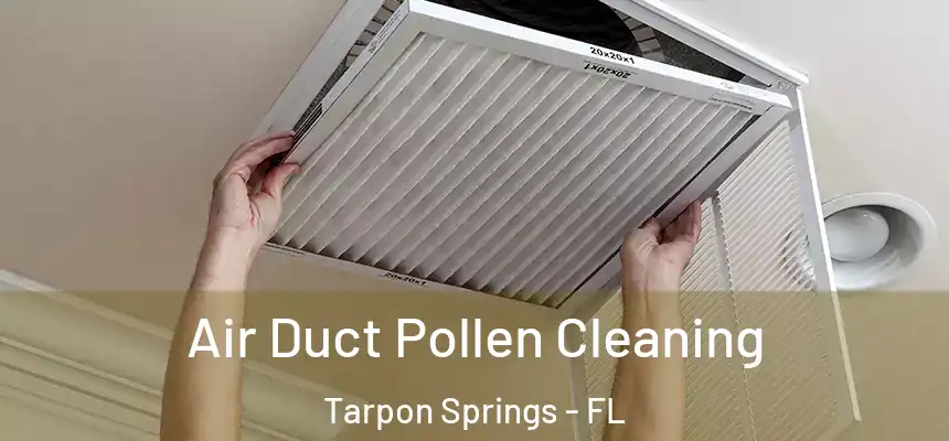 Air Duct Pollen Cleaning Tarpon Springs - FL