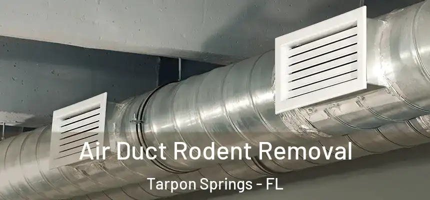 Air Duct Rodent Removal Tarpon Springs - FL