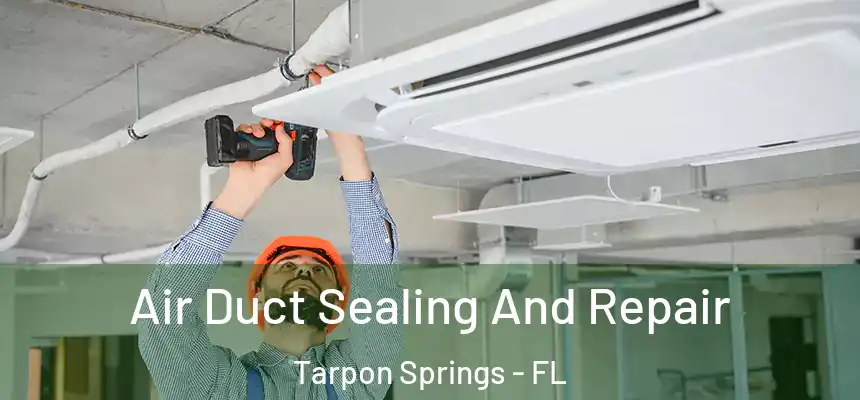 Air Duct Sealing And Repair Tarpon Springs - FL