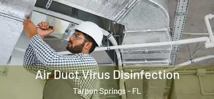 Air Duct Virus Disinfection Tarpon Springs - FL