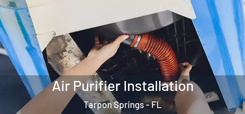 Air Purifier Installation Tarpon Springs - FL