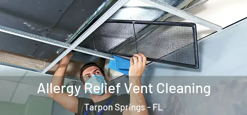 Allergy Relief Vent Cleaning Tarpon Springs - FL