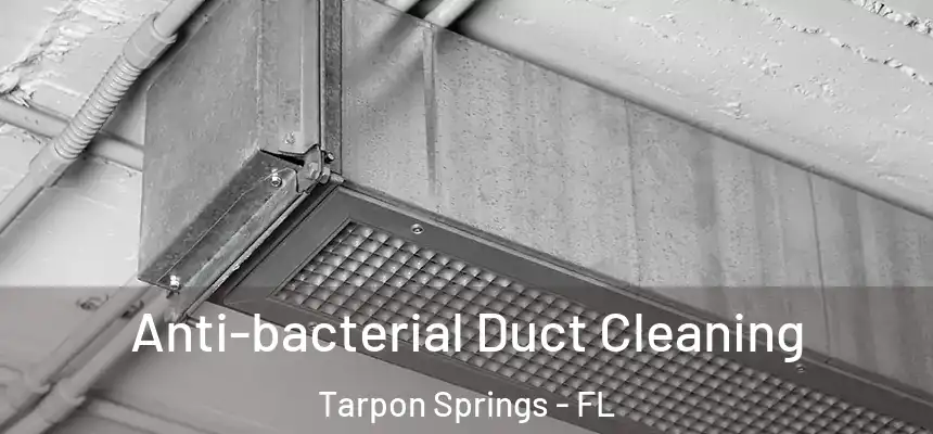 Anti-bacterial Duct Cleaning Tarpon Springs - FL