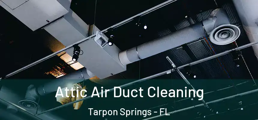 Attic Air Duct Cleaning Tarpon Springs - FL