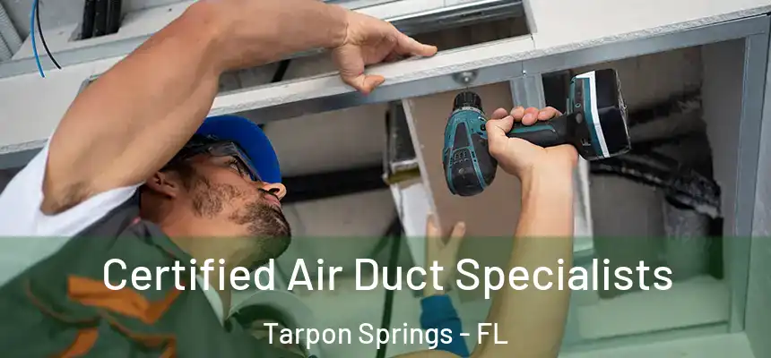 Certified Air Duct Specialists Tarpon Springs - FL