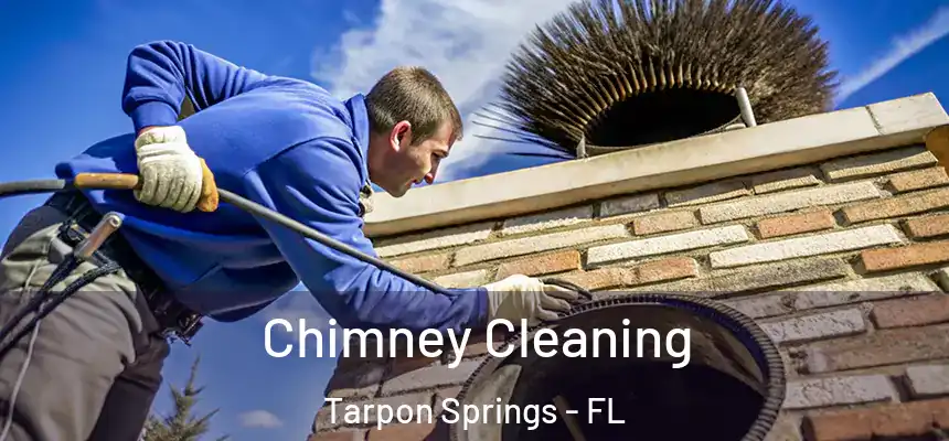 Chimney Cleaning Tarpon Springs - FL