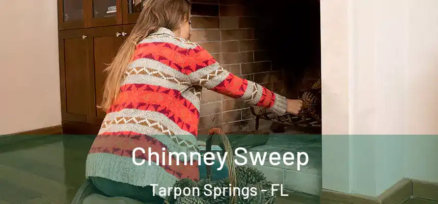Chimney Sweep Tarpon Springs - FL