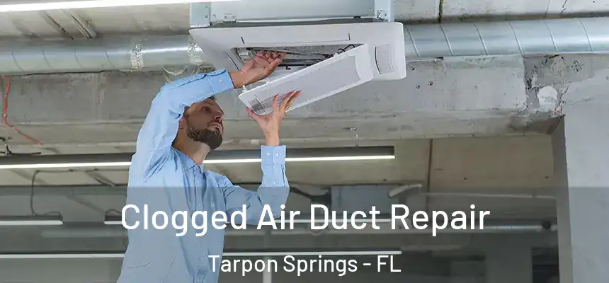 Clogged Air Duct Repair Tarpon Springs - FL