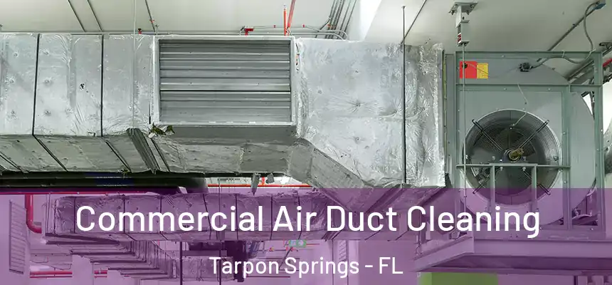 Commercial Air Duct Cleaning Tarpon Springs - FL