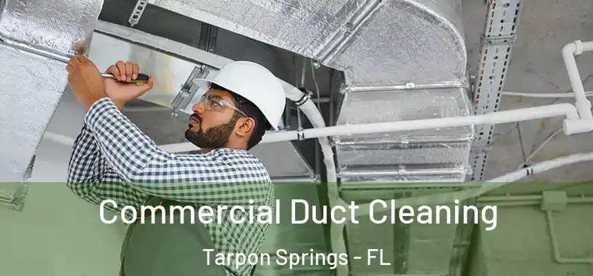 Commercial Duct Cleaning Tarpon Springs - FL