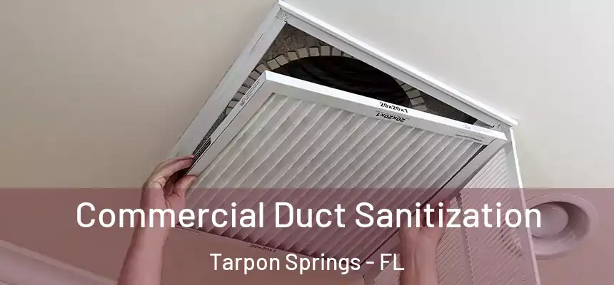 Commercial Duct Sanitization Tarpon Springs - FL