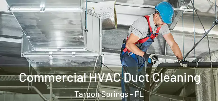 Commercial HVAC Duct Cleaning Tarpon Springs - FL