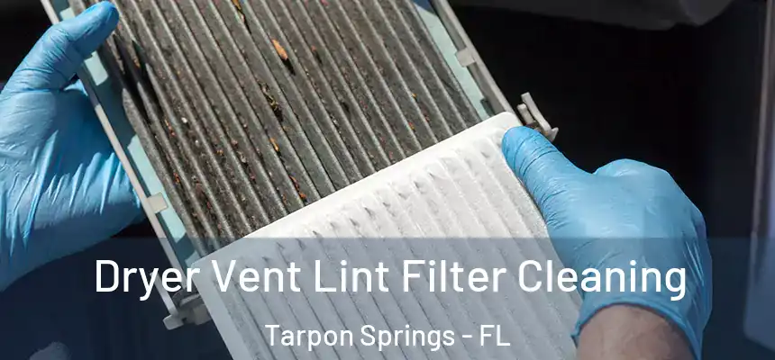  Dryer Vent Lint Filter Cleaning Tarpon Springs - FL