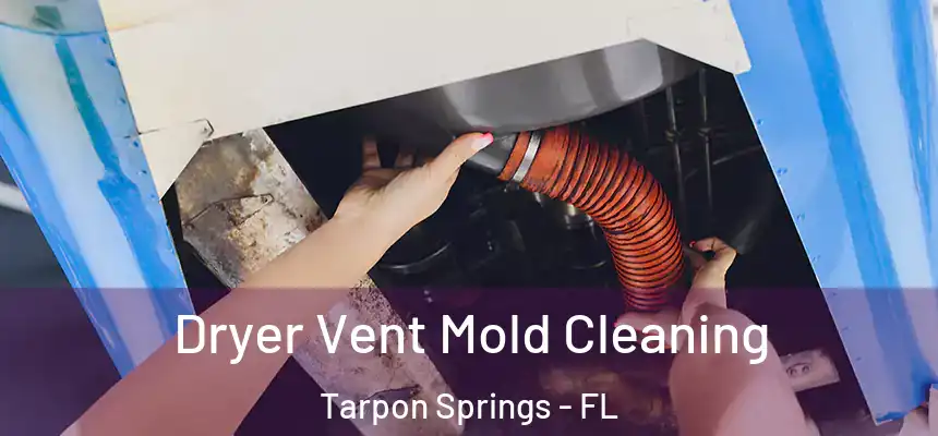 Dryer Vent Mold Cleaning Tarpon Springs - FL
