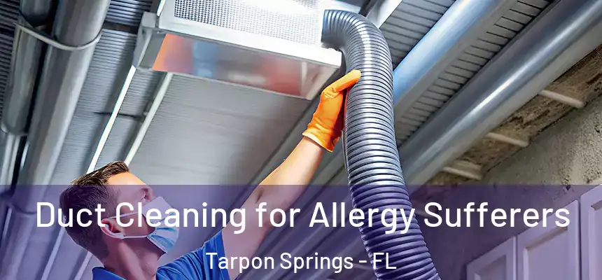 Duct Cleaning for Allergy Sufferers Tarpon Springs - FL