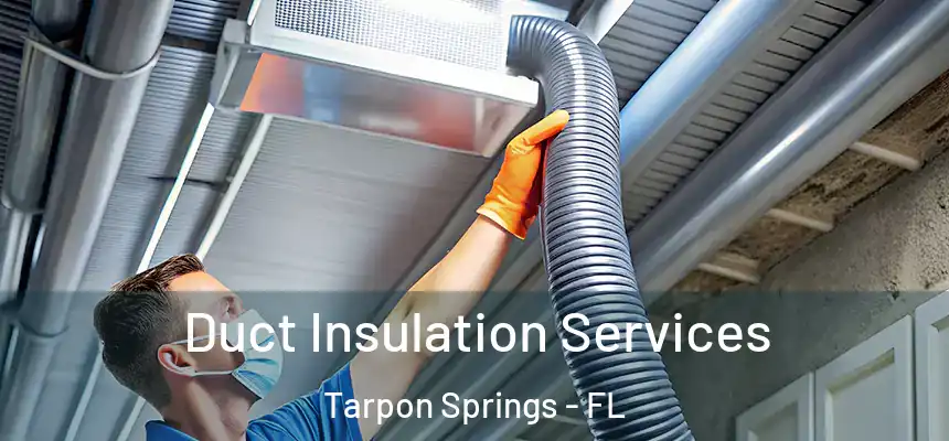 Duct Insulation Services Tarpon Springs - FL