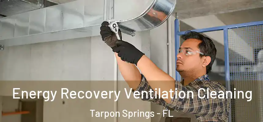 Energy Recovery Ventilation Cleaning Tarpon Springs - FL