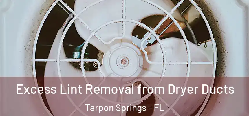  Excess Lint Removal from Dryer Ducts Tarpon Springs - FL