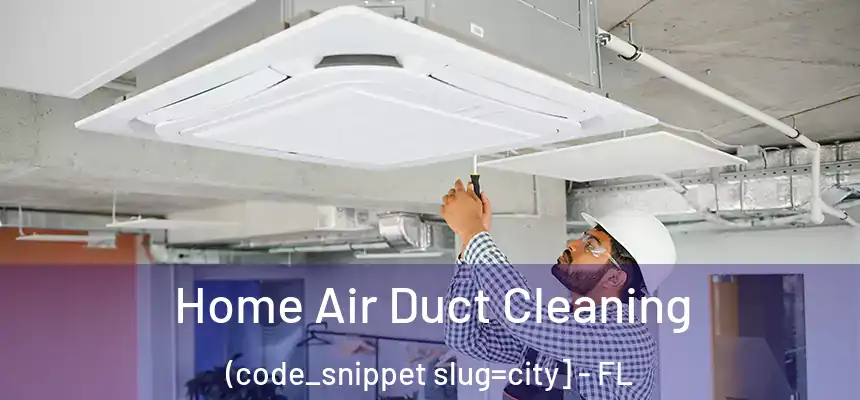  Home Air Duct Cleaning (code_snippet slug=city] - FL