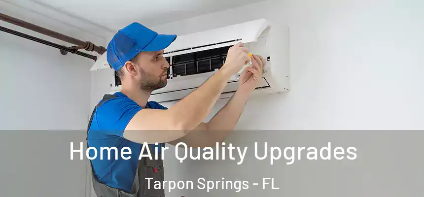  Home Air Quality Upgrades Tarpon Springs - FL