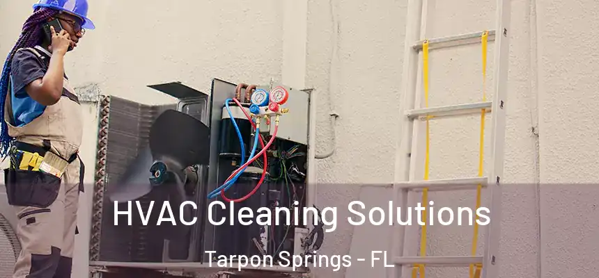 HVAC Cleaning Solutions Tarpon Springs - FL