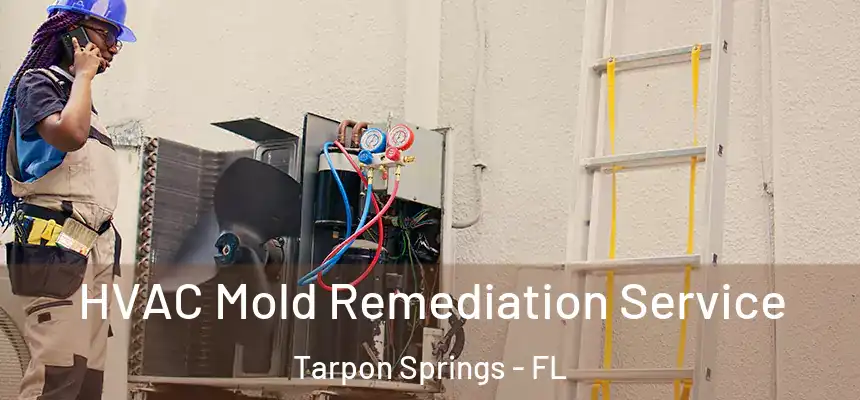 HVAC Mold Remediation Service Tarpon Springs - FL