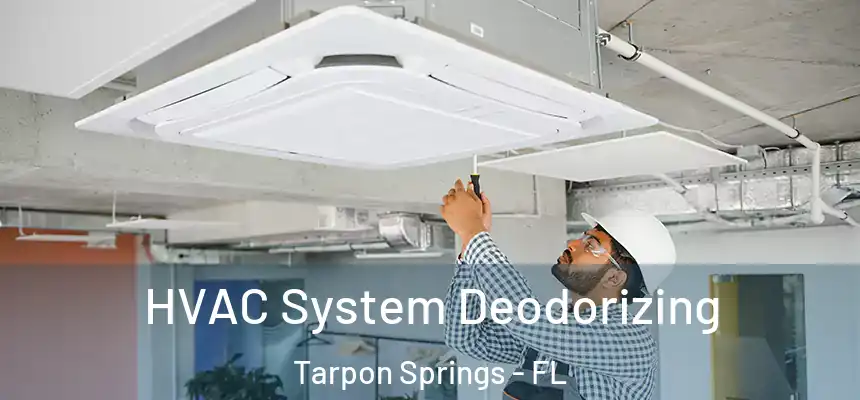  HVAC System Deodorizing Tarpon Springs - FL
