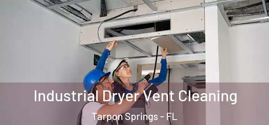 Industrial Dryer Vent Cleaning Tarpon Springs - FL