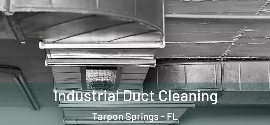 Industrial Duct Cleaning Tarpon Springs - FL