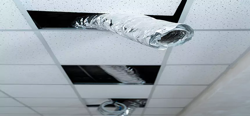 Our Air Duct Pet Hair Removal Services in Tarpon Springs, FL