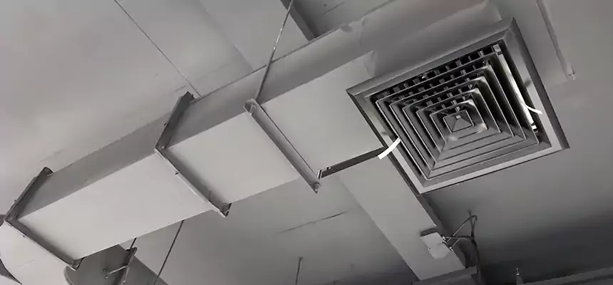 Restorative Allergy Relief Vent Cleaning – Coil, Blower & Housing Detail in Tarpon Springs