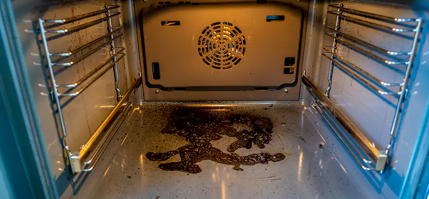 Our Dryer Vent Mold Cleaning Services in Tarpon Springs, FL