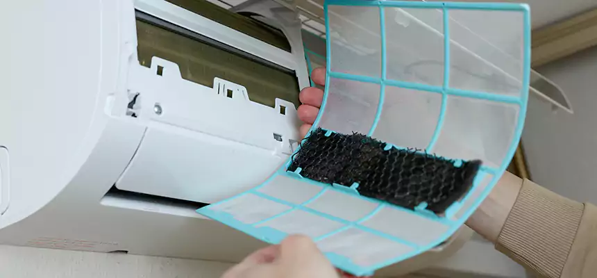 Gentle Ductwork Odor-Control Pet Dander Duct Cleaning in Tarpon Springs, FL