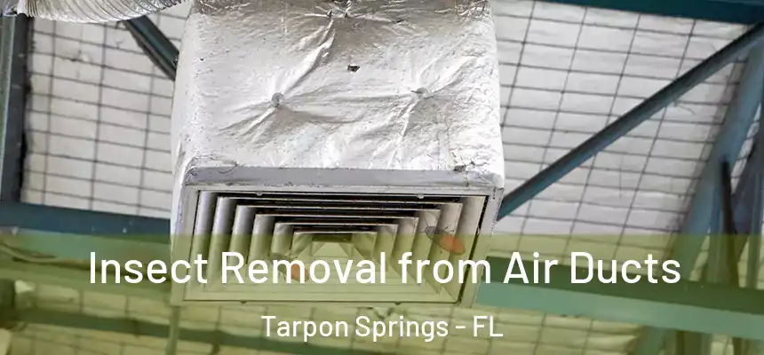 Insect Removal from Air Ducts Tarpon Springs - FL