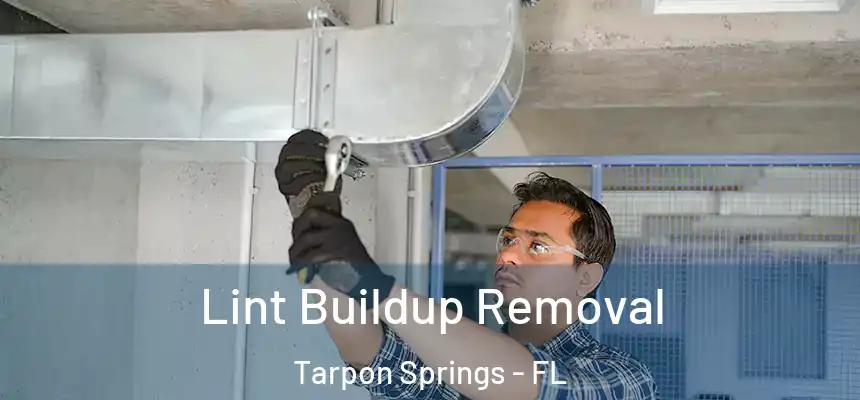  Lint Buildup Removal Tarpon Springs - FL
