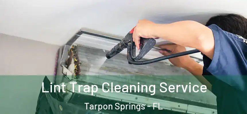  Lint Trap Cleaning Service Tarpon Springs - FL