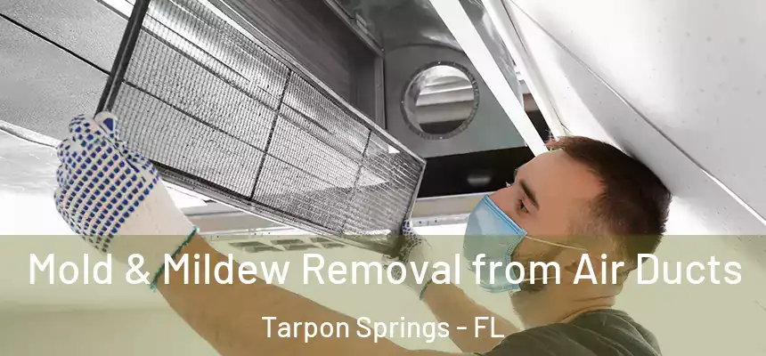 Mold & Mildew Removal from Air Ducts Tarpon Springs - FL