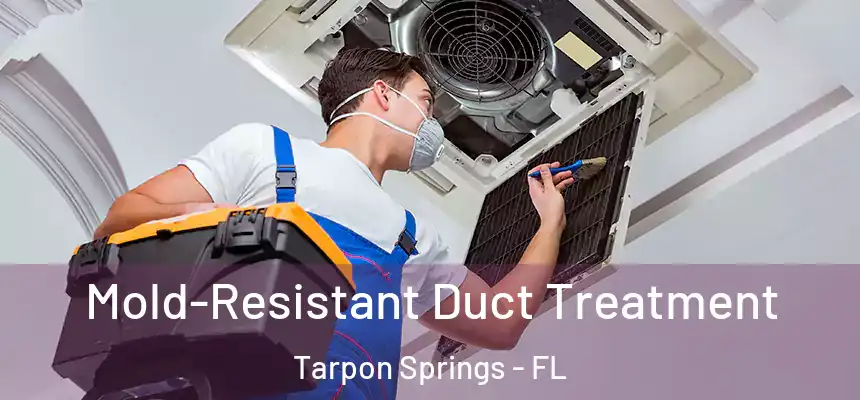 Mold-Resistant Duct Treatment Tarpon Springs - FL