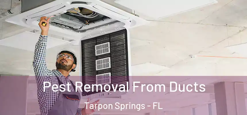 Pest Removal From Ducts Tarpon Springs - FL