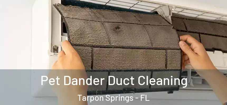 Pet Dander Duct Cleaning Tarpon Springs - FL
